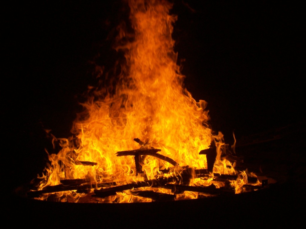 Neudenau 2010 019.jpg